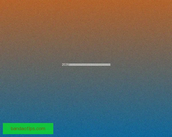 2026世界杯全程直播网站汇总，在线观看各场精彩赛事与实时比分更新