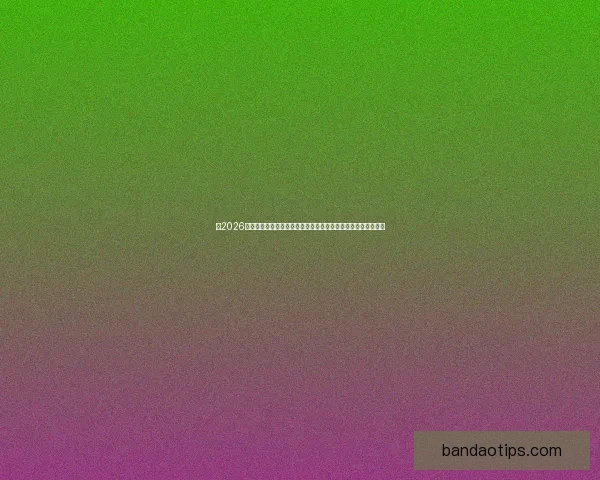 以2026世界杯比赛场地为中心串联北美城市文化与足球激情的盛会图景