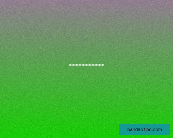 世界杯赛事全面解析与专家投注技巧指南助你赢取大奖