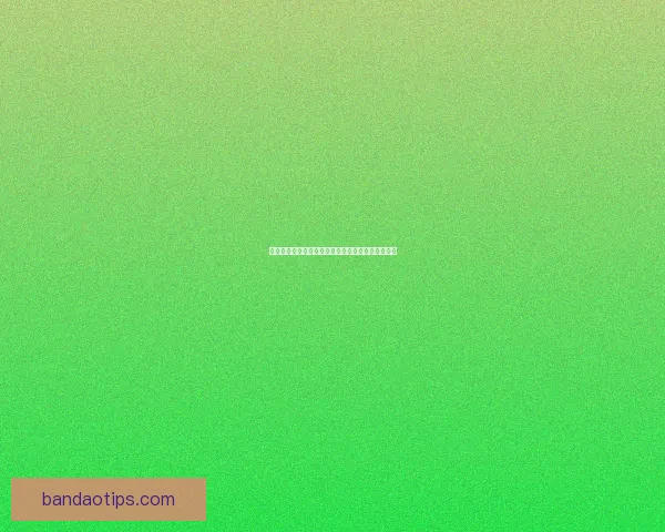 世界杯竞猜投注技巧与投注技巧全解析助你精准盈利