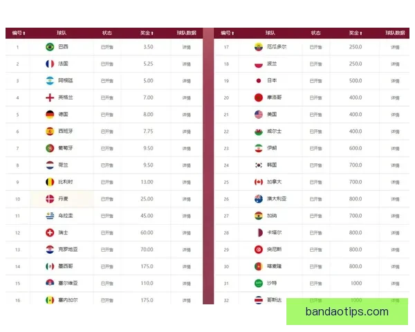 世界杯竞猜赔率全面解析及热门赛果预测指南揭秘