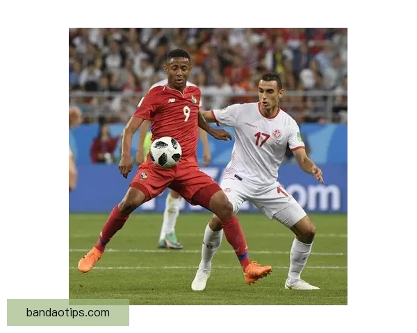 世界杯足球竞猜官网最新动态解析让您轻松预测赛事结果掌握投注技巧